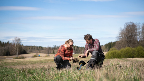 Viljelijät Sirkku Puumala ja Patrik Nyström arvioivat maan rakennetta pellolla.