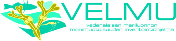 Velmu logo