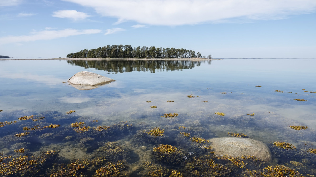 Saari horisontissa rannalta kuvattuna.