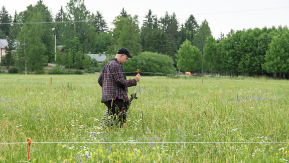 Viljelijä Tuomas Näppilä Kestilän tilalla siirtää aitausta laitumella.