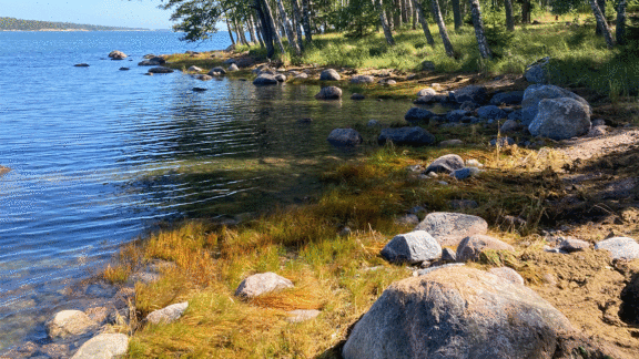 Stora Fagerön kivinen hiekkaranta aurinkoisella säällä. Taustalla puita ja horisontissa toinen saari.