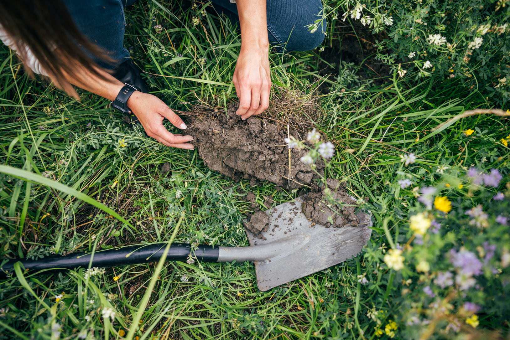 Understanding soil carbon sequestration by utilizing international soil