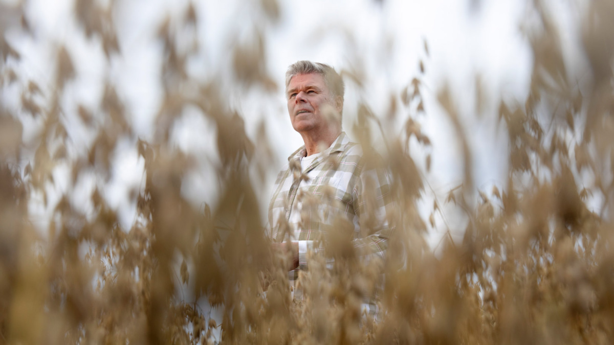 Ilmatieteenlaitoksen tutkimusjohtaja Jari Liski viljapellolla