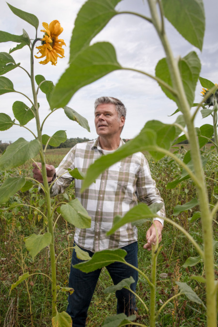 Tutkimusprofessori Jari Liski auringonkukkien seassa pellolla