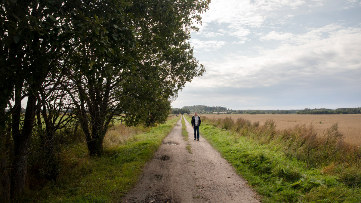 Tutkimusprofessori Jari Liski kävelämässä Haltialan peltotietä