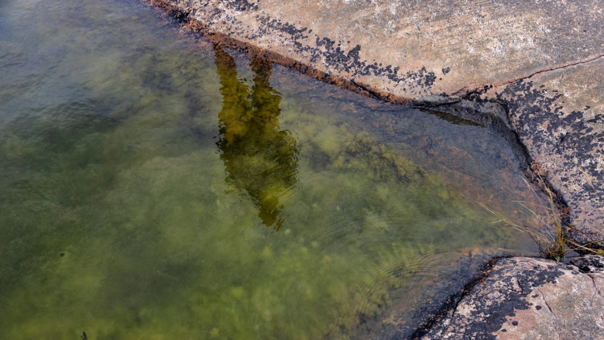Alf Norkon heijastus rantavedessä