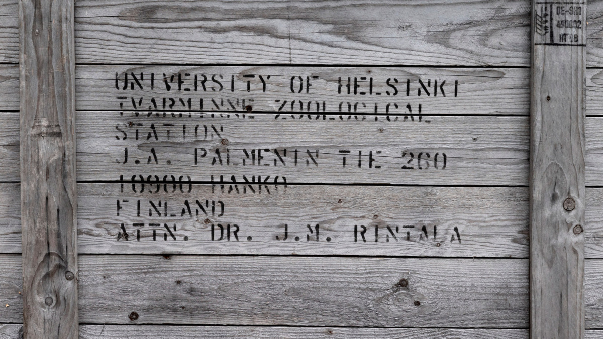 Vanha Helsingin yliopiston säilytyslaatikko 
