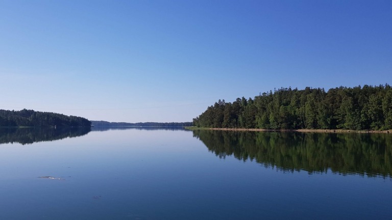 Puustoista rannikkoa Itämerellä.