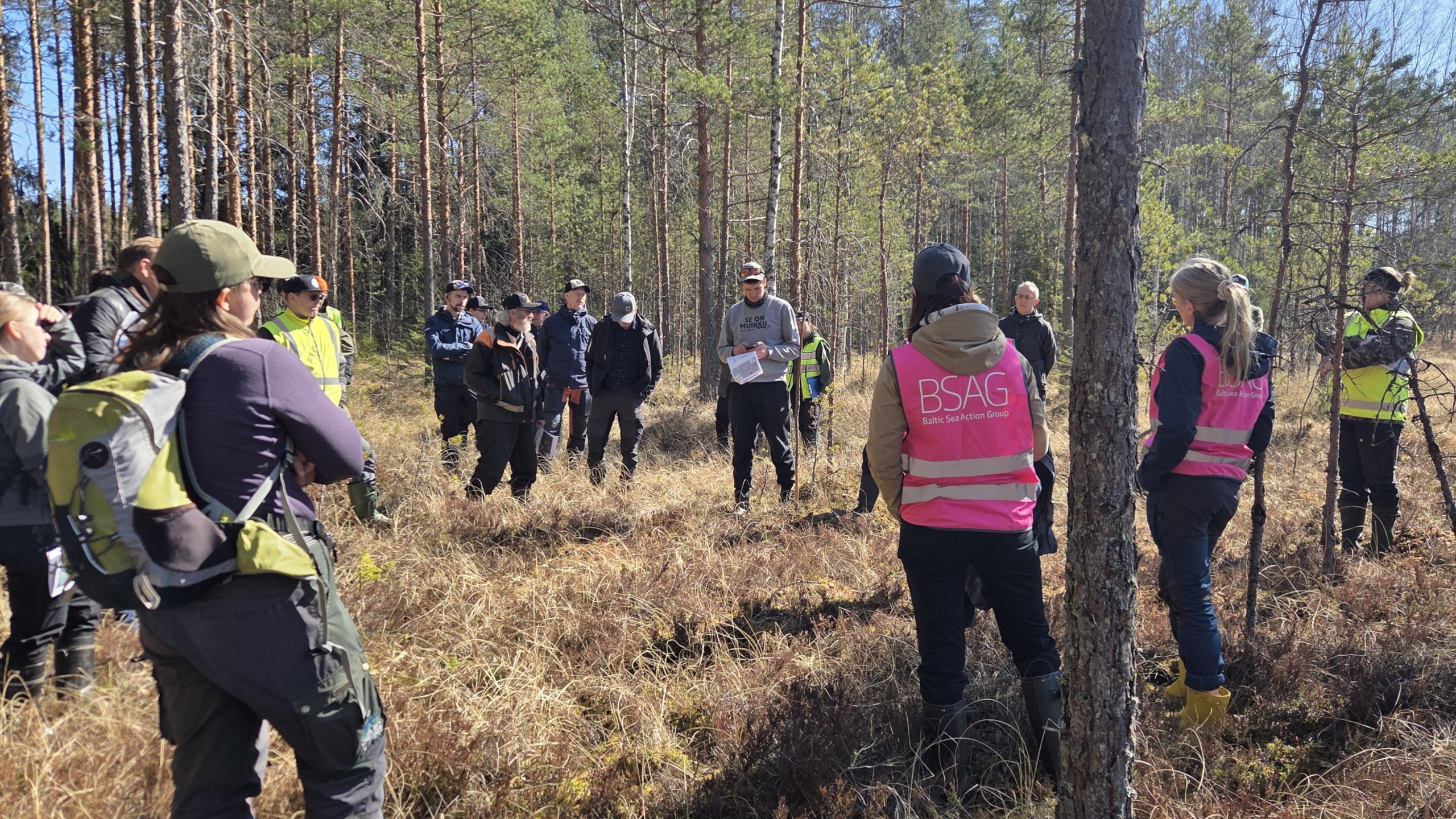 Metsäammattilaisia Naattalammin vähäpuustoisella suoalueella. Etualalla BSAG:n työntekijöitä.