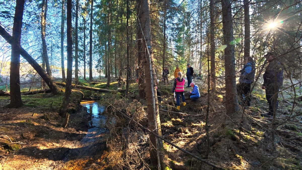 Metsäpuro ja ihmisiä metsässä.