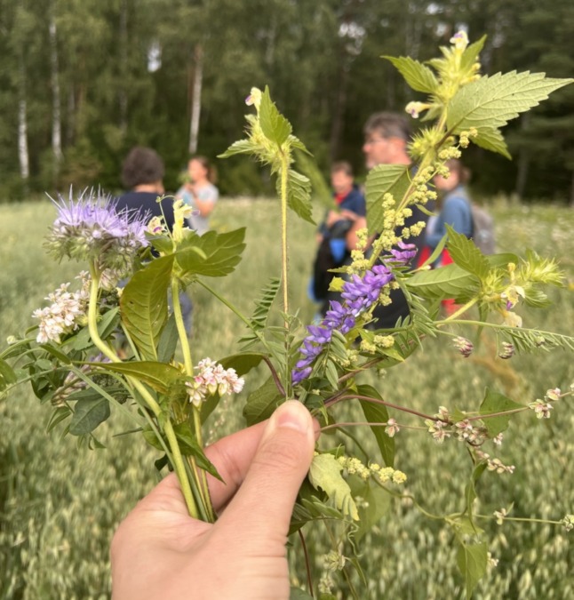 Kukkia eri peltolohkoilta ja viljelijöitä taustalla
