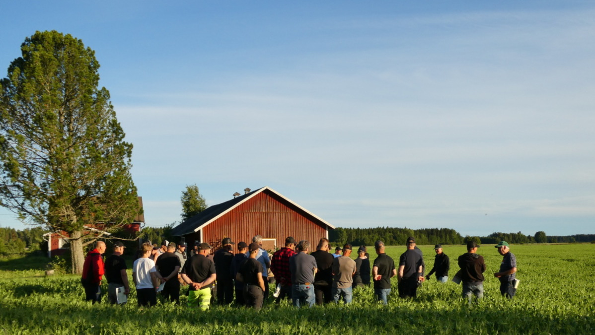 Pellonpiennartilaisuus punaisen ladon äärellä
