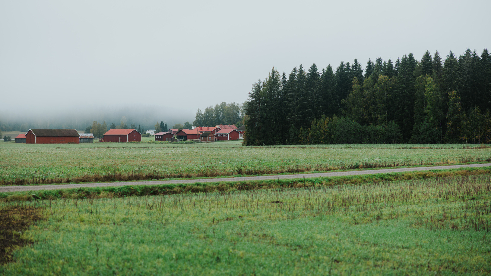 Avara peltomaisema, jota halkoo tie.